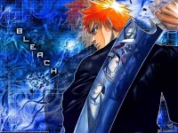 bleach_bysakuro.webp