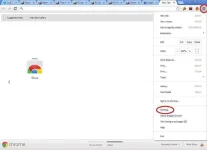 Google Chrome Picture.webp