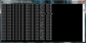 PING 1.webp