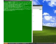 untitled1.webp