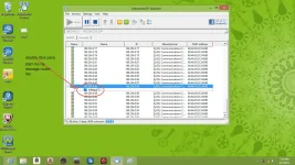 stp 3.webp