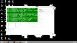 xd1.webp