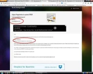 success spikio.com.webp