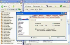 7.webp