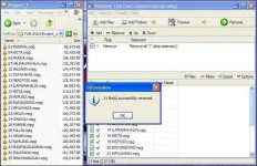 9.webp