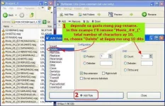 4.webp