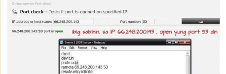 7.webp