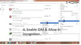 IDM In Incognitio.webp