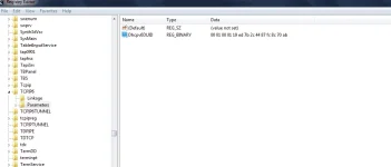Capture.webp