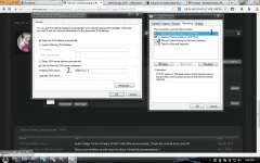 2333.webp