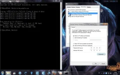 2.webp