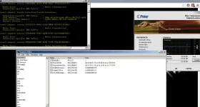 6.webp