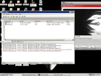 3.webp