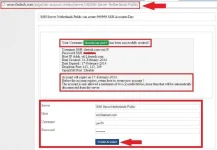 ss2.webp