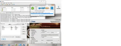 Untitled.webp