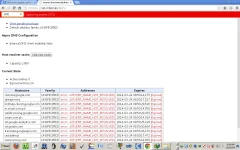 Net internals.webp Net internals.webp