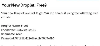 9.webp