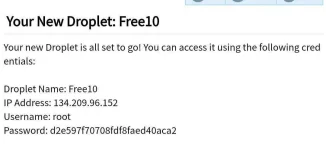 10.webp