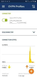 Screenshot_20190907-055247_OpenVPN Connect.webp
