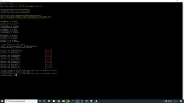3.webp
