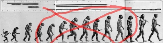 evolution_chart2_1.jpg evolution_chart2_1.jpg