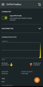 Screenshot_2019-09-12-17-09-50-306_net.openvpn.openvpn.webp