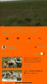 6F4B6E6E-AA26-48F8-9B7B-0341D247F92D.png