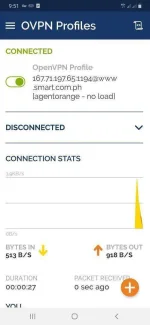 Screenshot_20190917-095124_OpenVPN Connect.webp