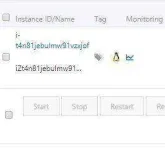 4.webp