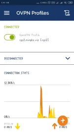 Screenshot_2019-09-23-19-49-55-738_net.openvpn.openvpn.webp