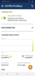 Screenshot_20190924-162912_OpenVPN Connect.webp