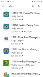Screenshot_20190926-092732_Google Play Store.webp