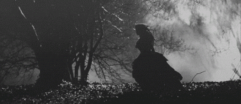 BB848C96-FA66-406F-8218-7334550D8A20.gif BB848C96-FA66-406F-8218-7334550D8A20.gif