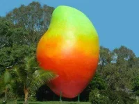 bigmango2.webp bigmango2.webp