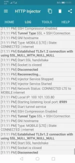Screenshot_20190928_231121_com.evozi.injector.webp