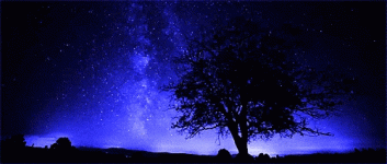 F12D235E-63D2-4930-BFC4-29F8F7FB4EB0.gif