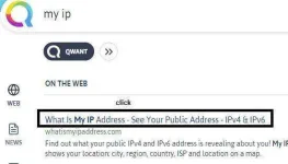 myip_2.webp