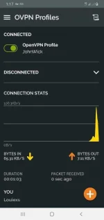 Screenshot_20191005-131756_OpenVPN Connect.webp