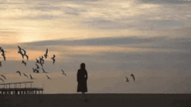4CAA8D65-A5CF-4224-960D-E844EF025177.gif 4CAA8D65-A5CF-4224-960D-E844EF025177.gif