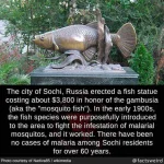 factsweird-20191009-0004.webp