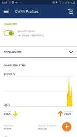 Screenshot_20191009-205158_OpenVPN Connect.webp