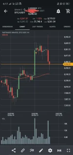 Screenshot_2019-10-11-18-18-16-78.webp