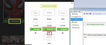 torrent.webp torrent.webp