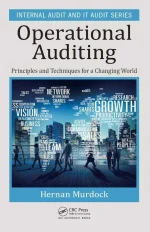Operational Audit 1.webp