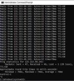 ping.webp
