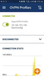 Screenshot_20191015-110102_OpenVPN Connect.webp