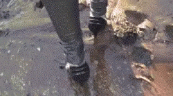 tenor.gif tenor.gif