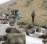 tenor (2).gif tenor (2).gif