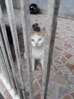 20190922_150646(0).webp