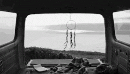 E30535BD-6EB6-4C33-BEF0-A773837E0184.gif